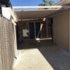 Surya Pleated Shade